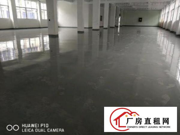  西乡黄田大小厂房出租