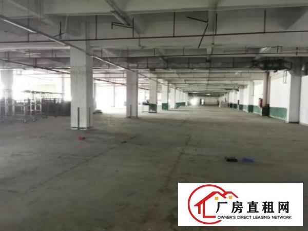  西乡独门独户厂房业主急租