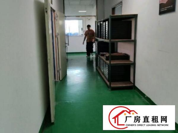  簕竹角工业园二楼1200平米带装修厂房招租