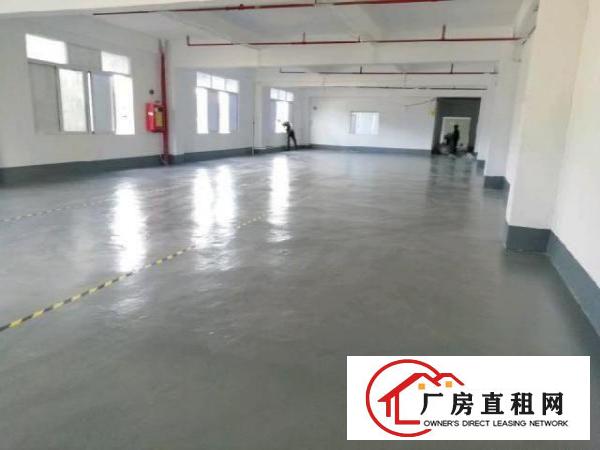  西乡，铁岗大型工业园，楼上带装修700平，厂房仓库出租