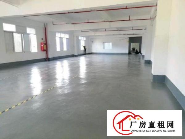  西乡，铁岗大型工业园，楼上带装修700平，厂房仓库出租