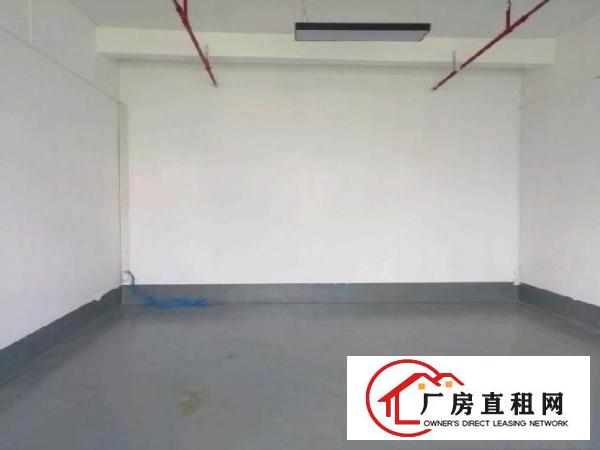  西乡，铁岗大型工业园，楼上带装修700平，厂房仓库出租