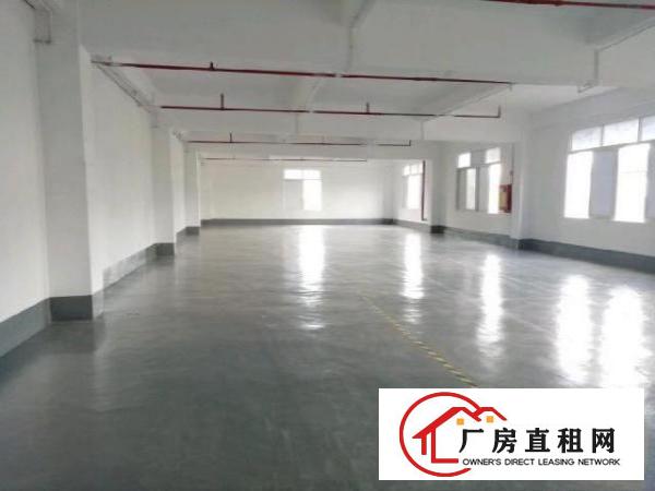  西乡，铁岗大型工业园，楼上带装修700平，厂房仓库出租
