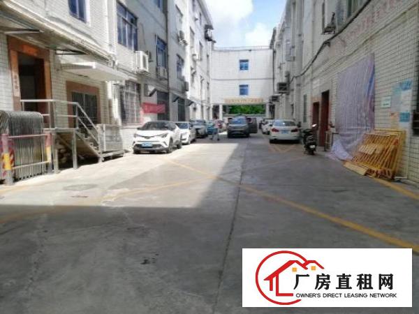  西乡，铁岗大型工业园，楼上带装修700平，厂房仓库出租