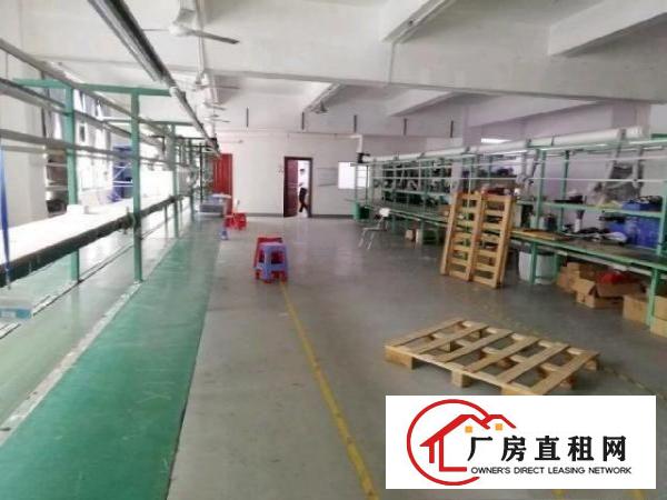  西乡，鹤洲洲石路边，大型工业园，楼上带精装修875平厂房出租
