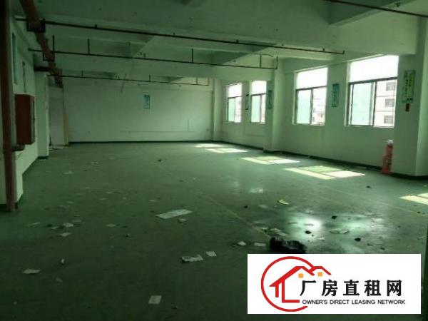  西乡新工业区放租，超长合同200平起租