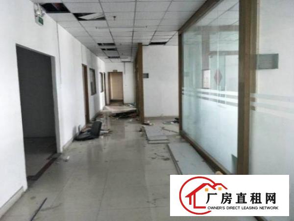  西乡新工业区放租，超长合同200平起租
