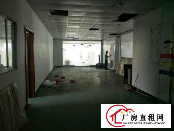  西乡新工业区放租，超长合同200平起租