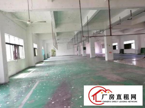  西乡，固戍大门附近，楼上整层带简装工业厂房970平