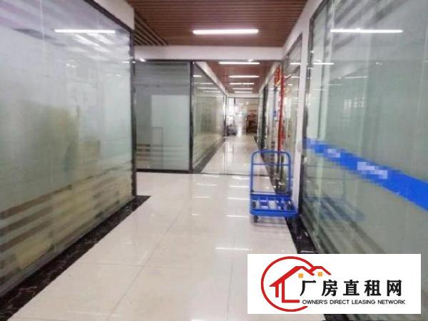  西乡，鹤洲，新出带精装修办公厂房500平出租