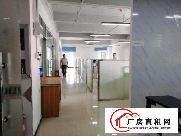  西乡，鹤洲，新出带精装修办公厂房500平出租