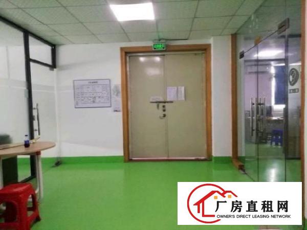  西乡，鹤洲，新出带精装修办公厂房500平出租