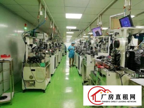  西乡，鹤洲，新出带精装修办公厂房500平出租