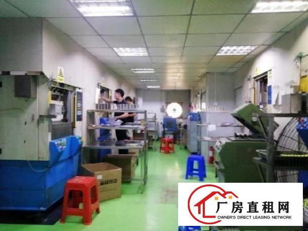  西乡，鹤洲，新出带精装修办公厂房500平出租