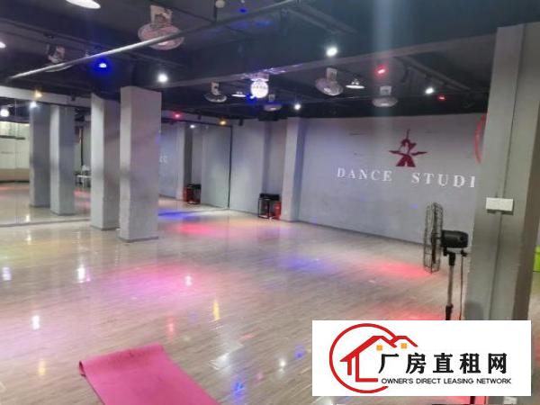  西乡镇黄麻村三楼豪华装修出租
