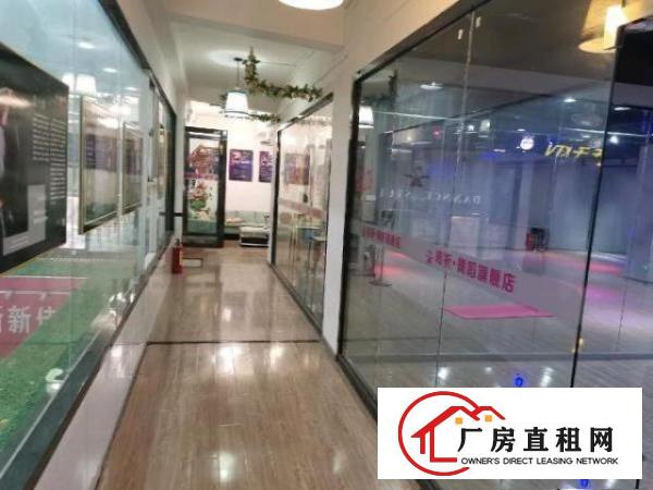  西乡镇黄麻村三楼豪华装修出租