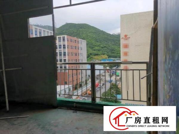  标准楼层高新产业园双3吨电梯厂房
