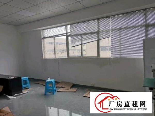  标准楼层高新产业园双3吨电梯厂房