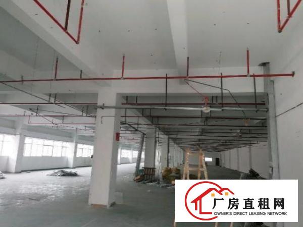  标准楼层高新产业园双3吨电梯厂房