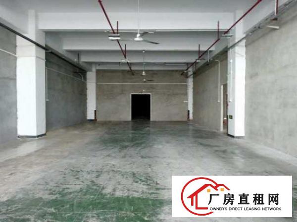  业主直租！宝安恒丰工业城1200㎡厂房套房单间宿舍出租