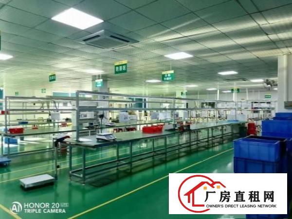 西乡簕竹角1325平厂房出租