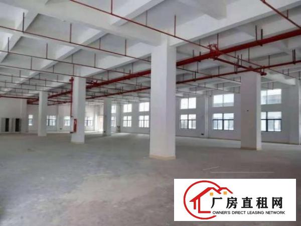  出租宝安区西乡黄田独栋25000平重工厂房可分租