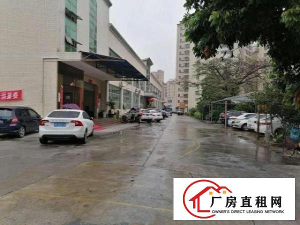  出租宝安区西乡黄麻布勒竹角村鹏龙工业区