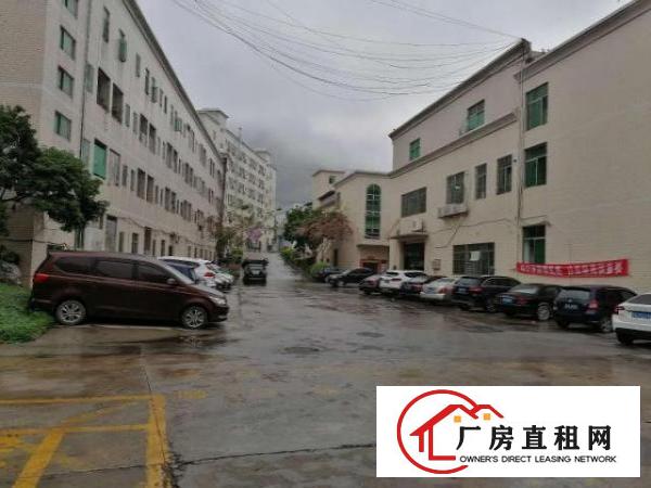  出租宝安区西乡黄麻布勒竹角村鹏龙工业区