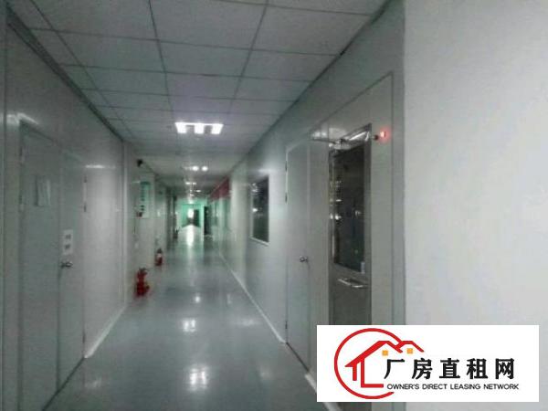  西乡精装修无尘车间厂房2600平方招租