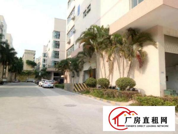  西乡无公摊厂房一楼整层1180平米招租