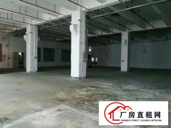  新出整层一楼2300平米带现成装修厂房招租