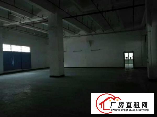  新出整层一楼2300平米带现成装修厂房招租
