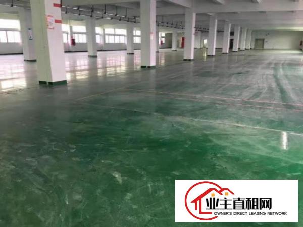  出租宝安西乡原房东整层2700平方，豪华装修