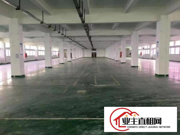  出租宝安西乡原房东整层2700平方，豪华装修