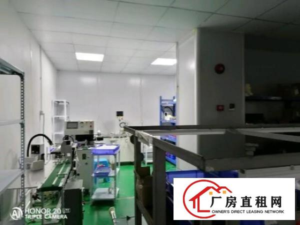  西乡洲石路边上带装修厂房650平米招租