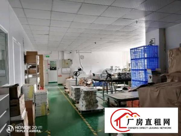  西乡洲石路边上带装修厂房650平米招租