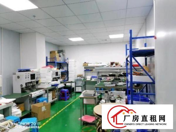  西乡洲石路边上带装修厂房650平米招租