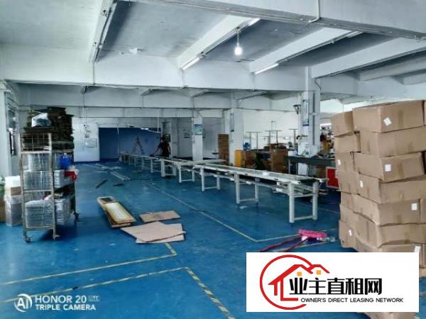  西乡九围簕竹角黄麻布村附近带装修厂房1300平米