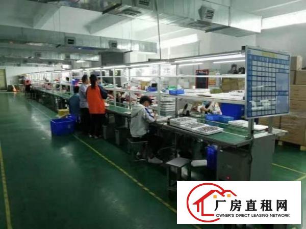  西乡鹤州工业区或九围工业区厂房1600平米