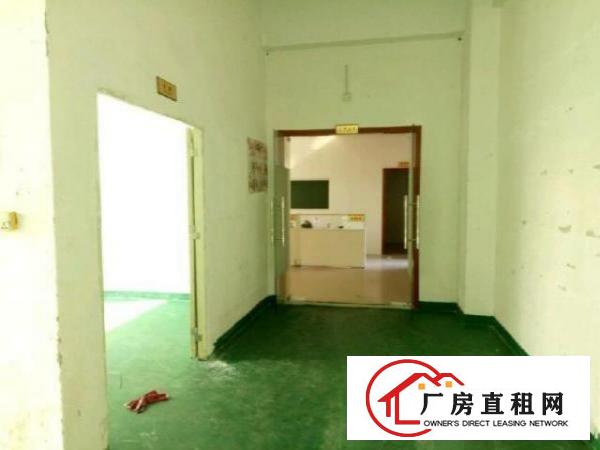  洲石路带装修厂房550平米出租