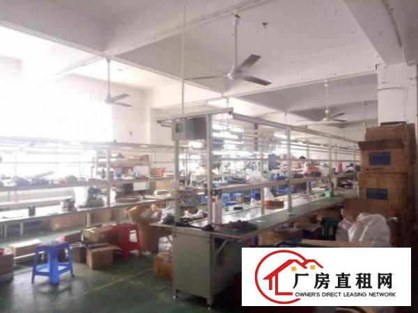  洲石路带装修厂房550平米出租