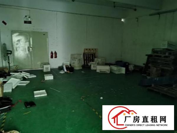  精装厂房业主直招，无任何转让费