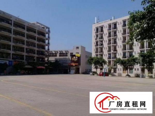  西乡黄田厂房出租（成熟产业园招商）