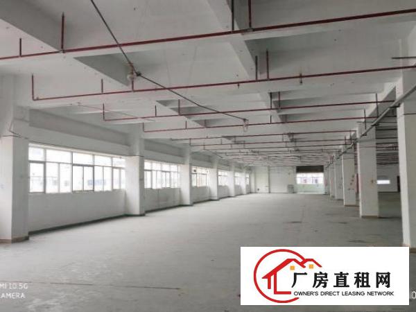  西乡黄田厂房出租（成熟产业园招商）