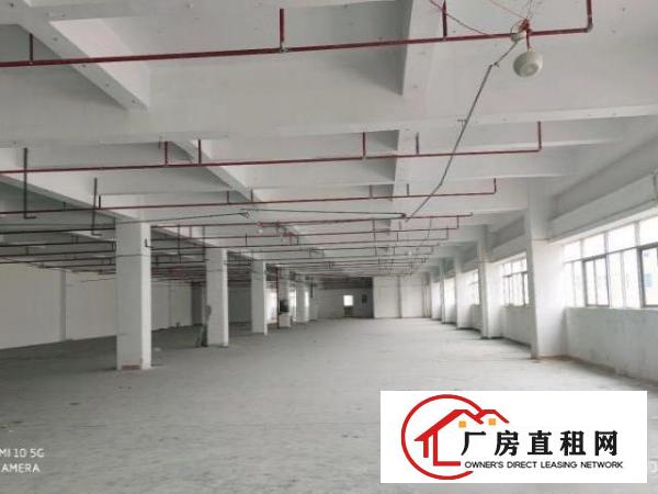  西乡黄田厂房出租（成熟产业园招商）