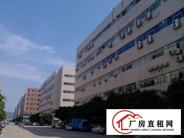  （3 1格局带装修出租）