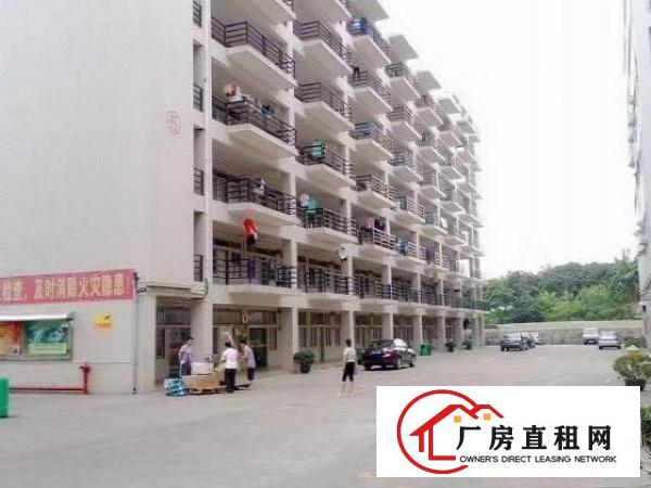  （3 1格局带装修出租）
