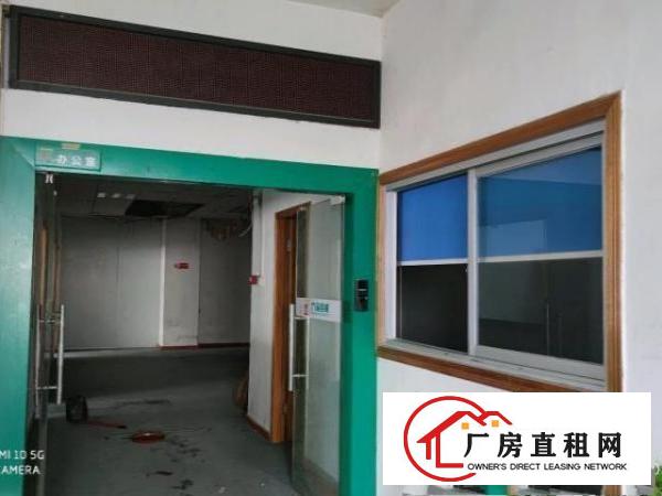  （3 1格局带装修出租）