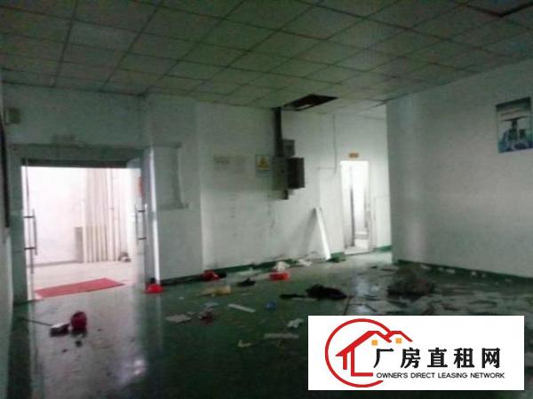  草围带装修厂房850平方出租