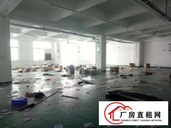  草围带装修厂房850平方出租